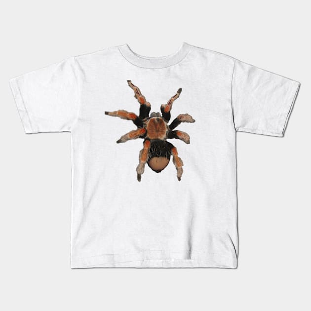 Tarantula Kids T-Shirt by Guardi